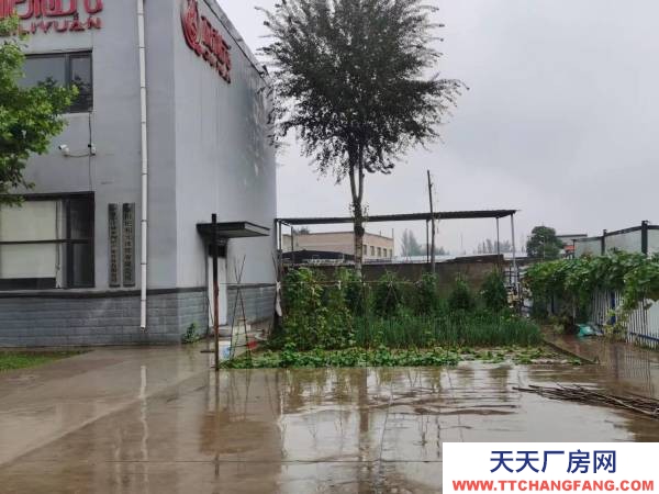 银川市金凤饼干厂房  金凤区工业园区A区56号宝湖路北侧