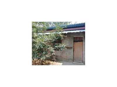 (出租) 周口项城大仓带院，水电齐全，五证齐全图1