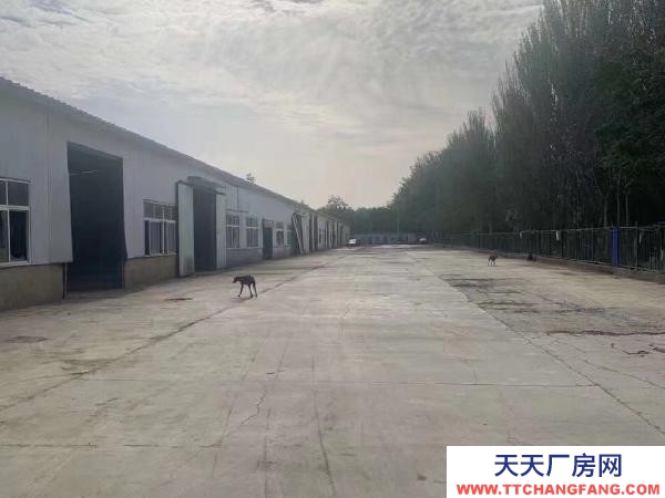 银川市金凤机加工厂房  可小面积租出 随时看房