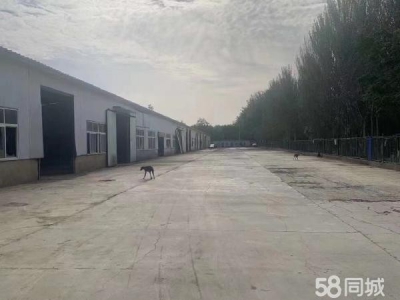 银川市金凤机加工厂房  可小面积租出 随时看房图2