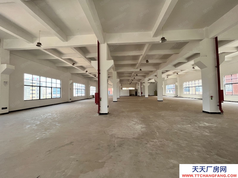 (出租) 河源市紫金县临江工业区纬一路新出1000平米标准厂房可做速冻食品行业
