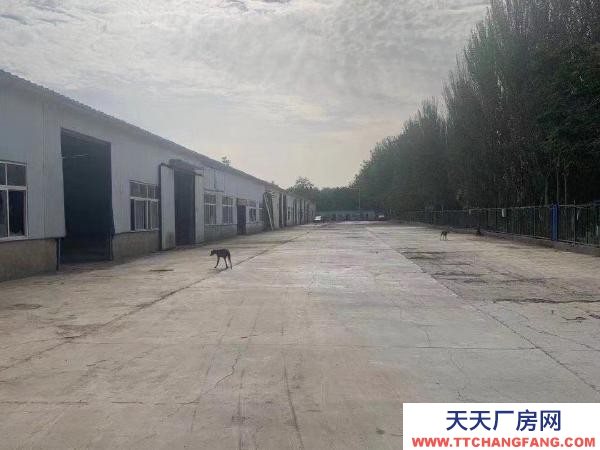 银川市金凤机加工厂房 4000千平米库房可小面积出租随时实地看房