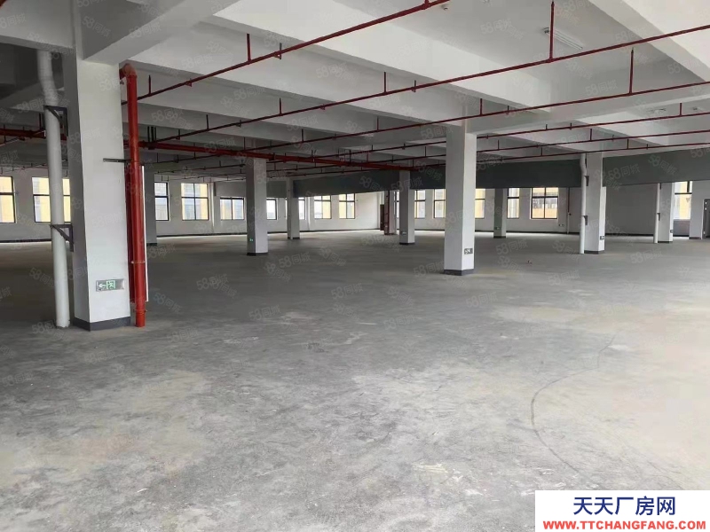 金华市浦江(出售) 浦江诚心出售新建厂房公寓，3000多平，即买即用