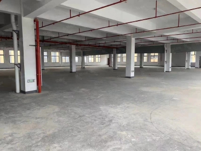 金华市浦江(出售) 浦江诚心出售新建厂房公寓，3000多平，即买即用图2