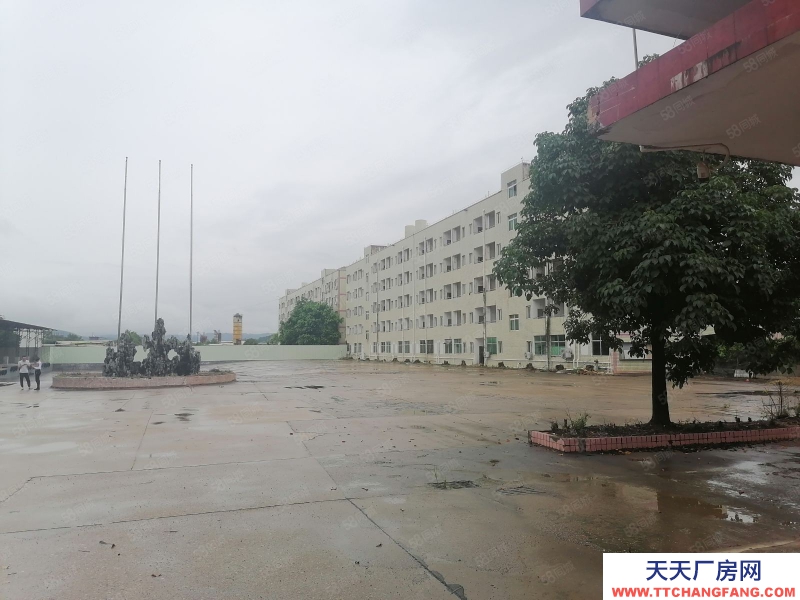 (出租) 河源紫金临江工业园 独院厂房可做休闲食品