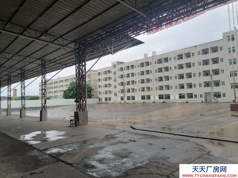 (出租) 河源紫金临江工业园 独院厂房可做休闲食品