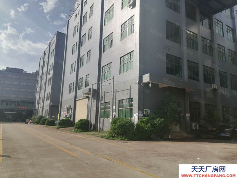 (出租) 河源紫金江东新区园区厂房 一楼1100平可分租 随时看厂适合电子