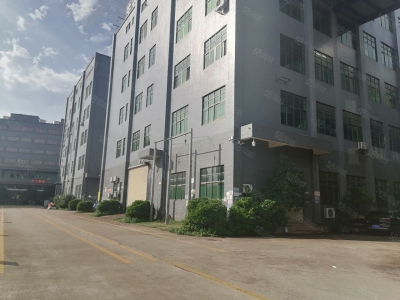 (出租) 河源紫金江东新区园区厂房 一楼1100平可分租 随时看厂适合电子图2