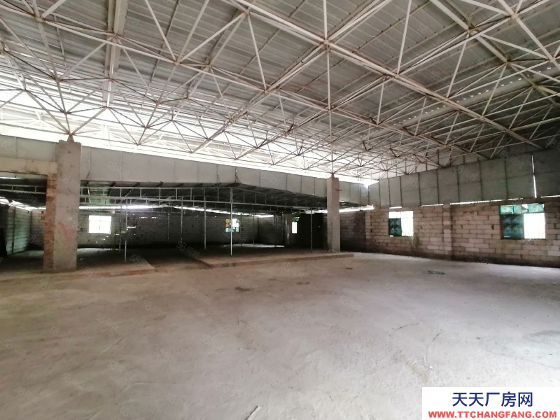 (出租) 河源紫金江东新区 600单一层钢构厂房 食品批发仓库随时看厂