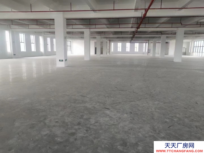 (出租) 河源紫金纬二路新出原房东30000平米花园式厂房可做罐头行业