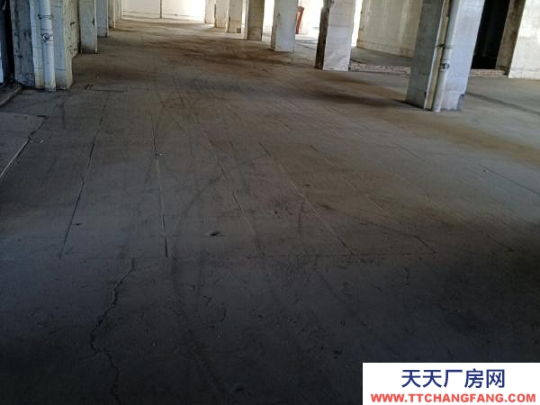 银川市金凤物资仓库  库房，平房（带院子），办公室出租！