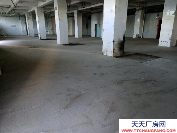 银川市金凤物资仓库  库房，平房（带院子），办公室出租！