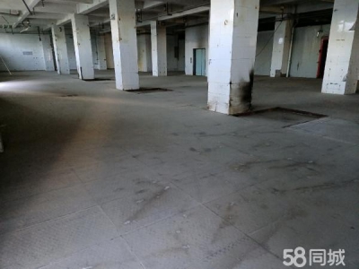 银川市金凤物资仓库  库房，平房（带院子），办公室出租！图3