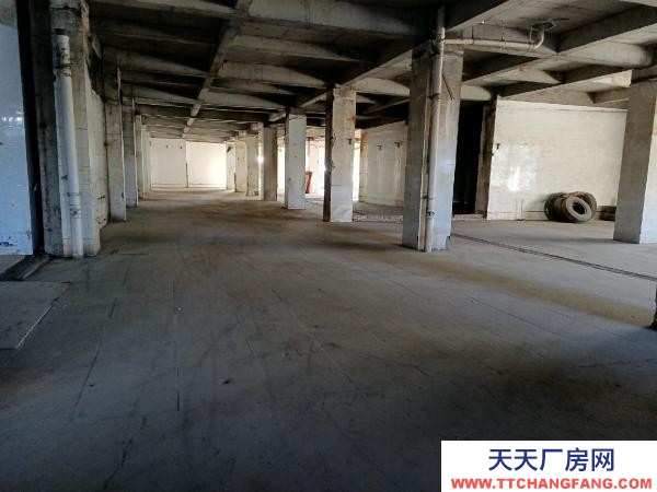 银川市金凤物资仓库  库房，平房（带院子），办公室出租！