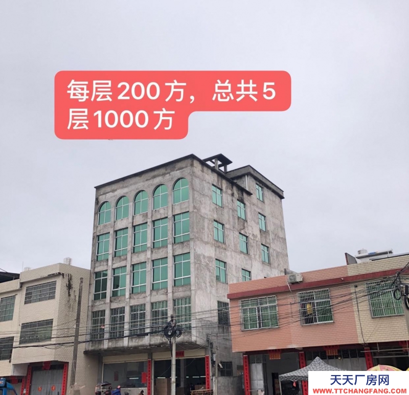 (出租) 源连平县油溪镇人民政府旁可做酱菜加工