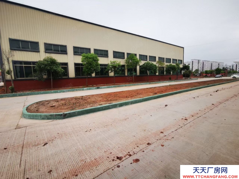 (出租) 河源东源县厂房面积4800平米，滴水8米可做方便食品制造行业