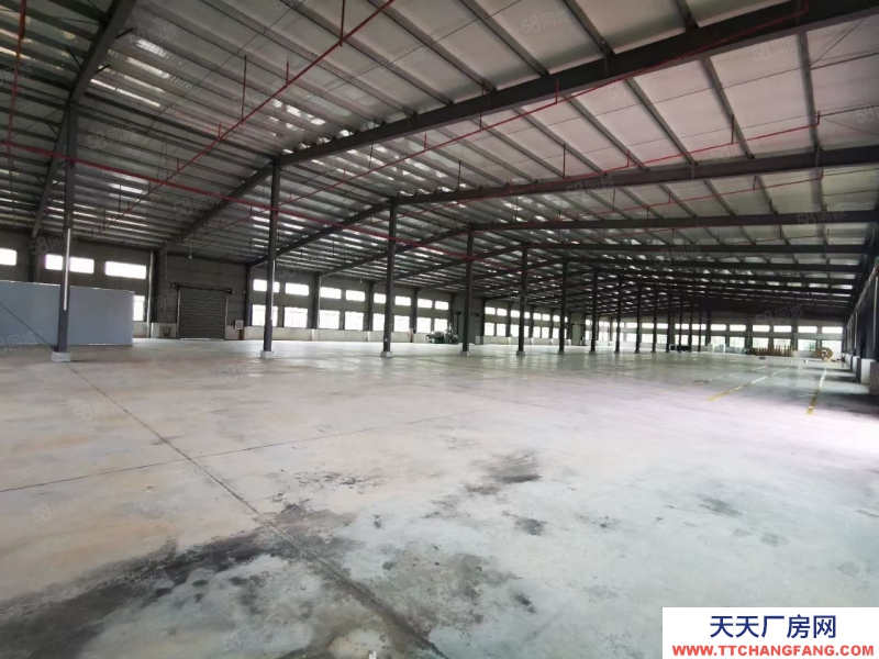 (出租) 河源东源县厂房面积4800平米，滴水8米可做方便食品制造行业