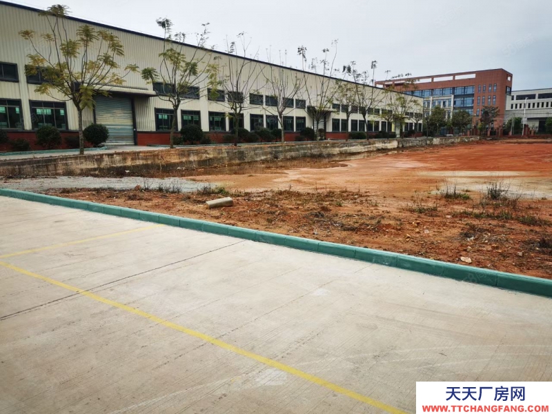 (出租) 河源东源县厂房面积4800平米，滴水8米可做方便食品制造行业