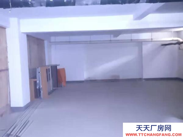 银川市金凤物资仓库 地下仓库出租，有30平米的，有60平米的