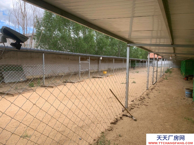 张家口 张北县  (出租) 有房屋23间，水电方便，可搞养殖也可开敬老院