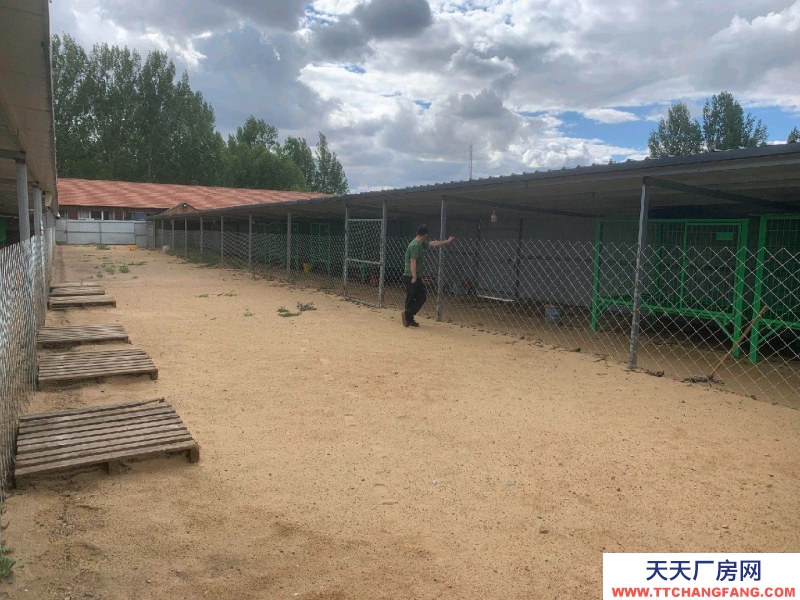张家口 张北县  (出租) 有房屋23间，水电方便，可搞养殖也可开敬老院