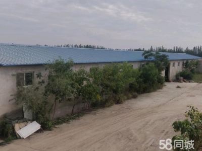 银川市兴庆机加工厂房 掌政镇。厂房出租，水电齐全，带住房，随时可看房图3