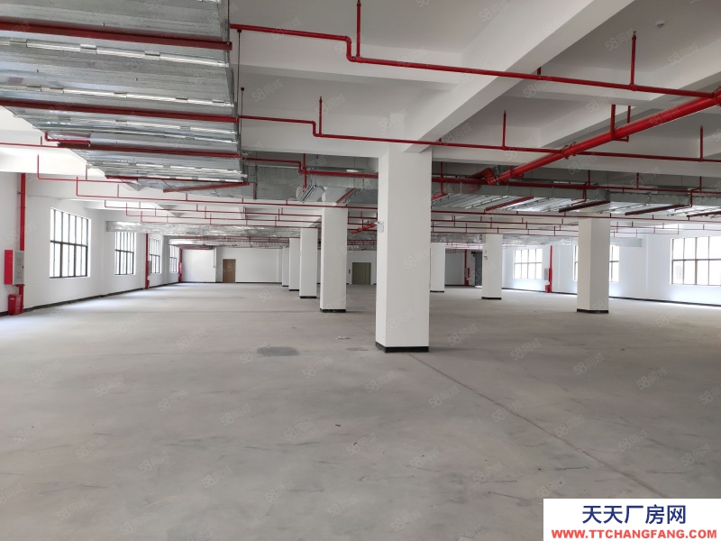 (出租)河源东源厂房仓库出租2000平500平起分租不限行业好招工适合五金电子