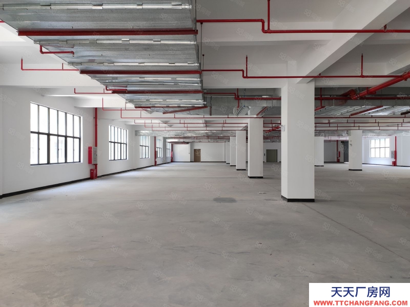(出租)河源东源厂房仓库出租2000平500平起分租不限行业好招工适合五金电子