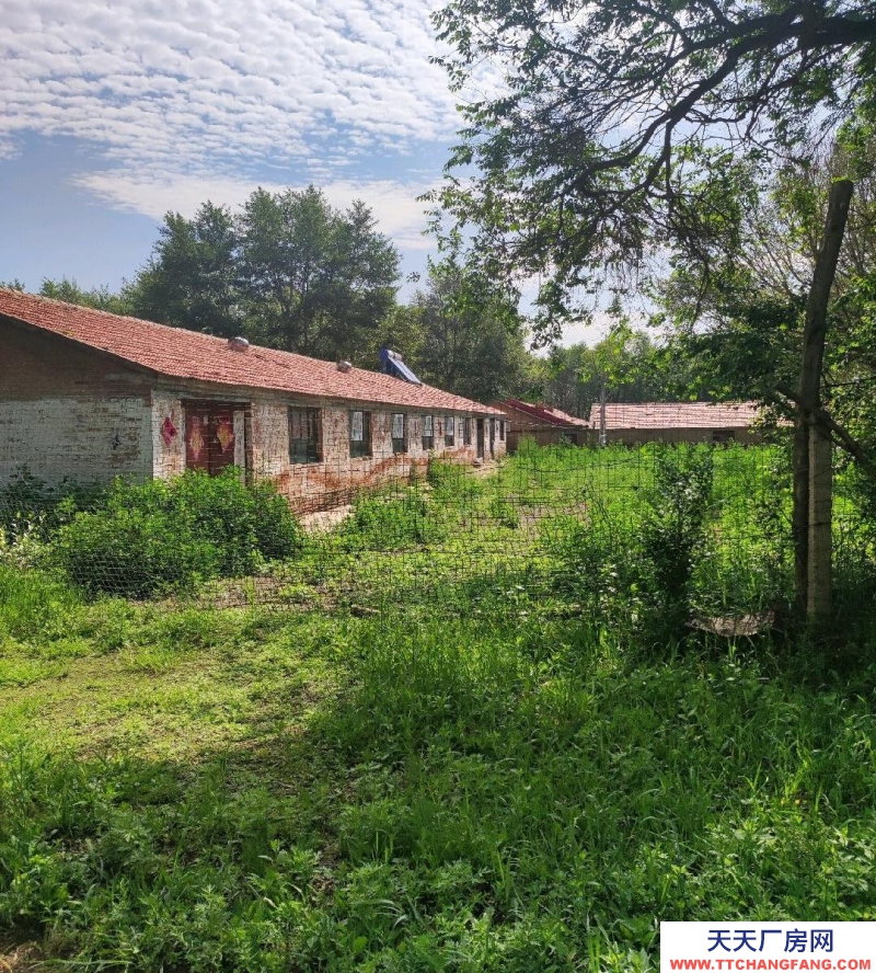 张家口 沽源 (出租) 大型养殖场，手续齐全！