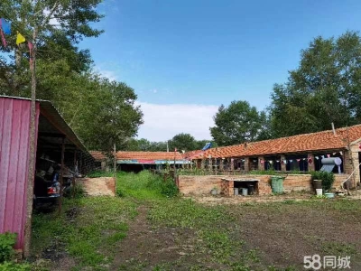 张家口 沽源 (出租) 大型养殖场，手续齐全！图4