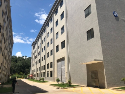 (出租) 河源市东源县徐洞工业区新出花园式20000平米标准厂房可做饮料行业图2