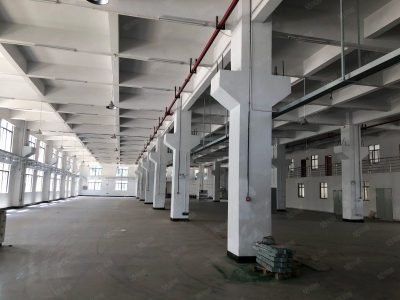 (出租) 河源市东源县徐洞工业区新出花园式20000平米标准厂房可做饮料行业图3