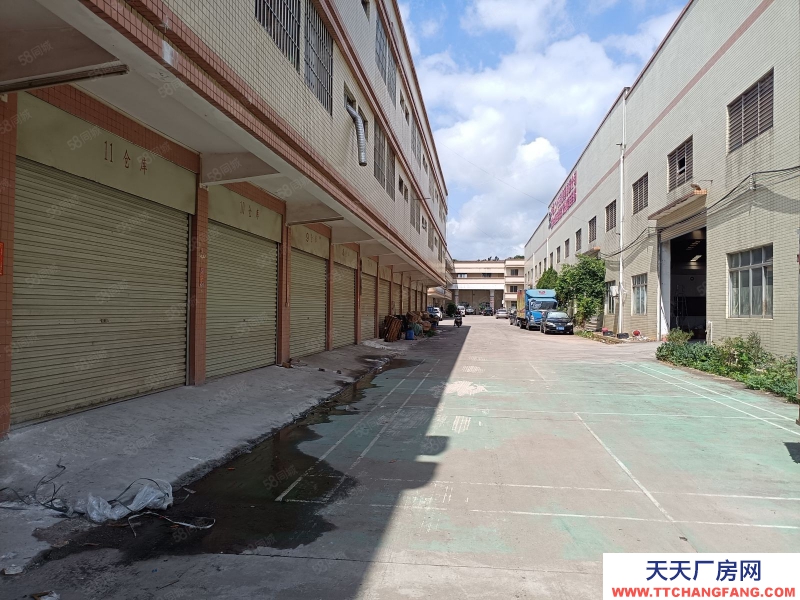 (出租) 河源东源县仙塘镇主干道旁，层高12米钢构厂房出租，适合家具建材