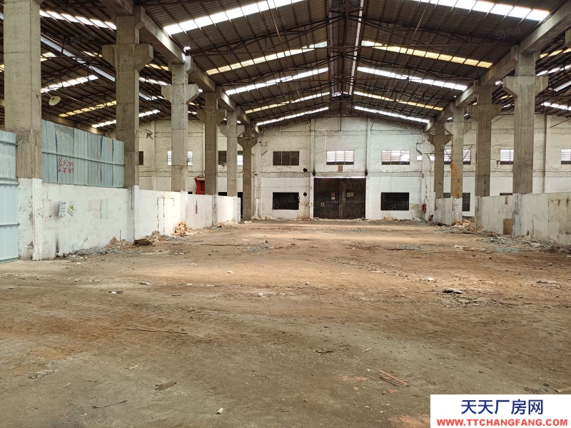 (出租) 河源东源县仙塘镇主干道旁，层高12米钢构厂房出租，适合家具建材