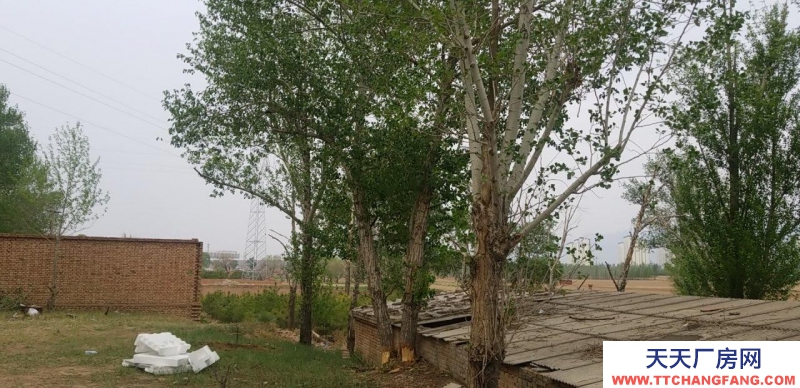 张家口 蔚县 (出租) 蔚县县城附近七亩大院出租。