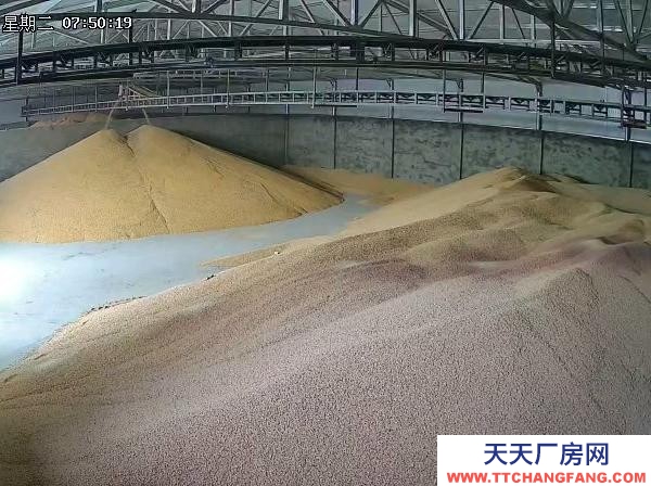张家口 蔚县 (出售) 可烘干玉米，有全套设备
