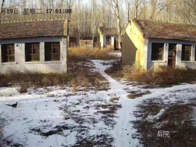 张家口 怀安 (出租) 有水有三相电，可以注册公司，开办养殖场图2
