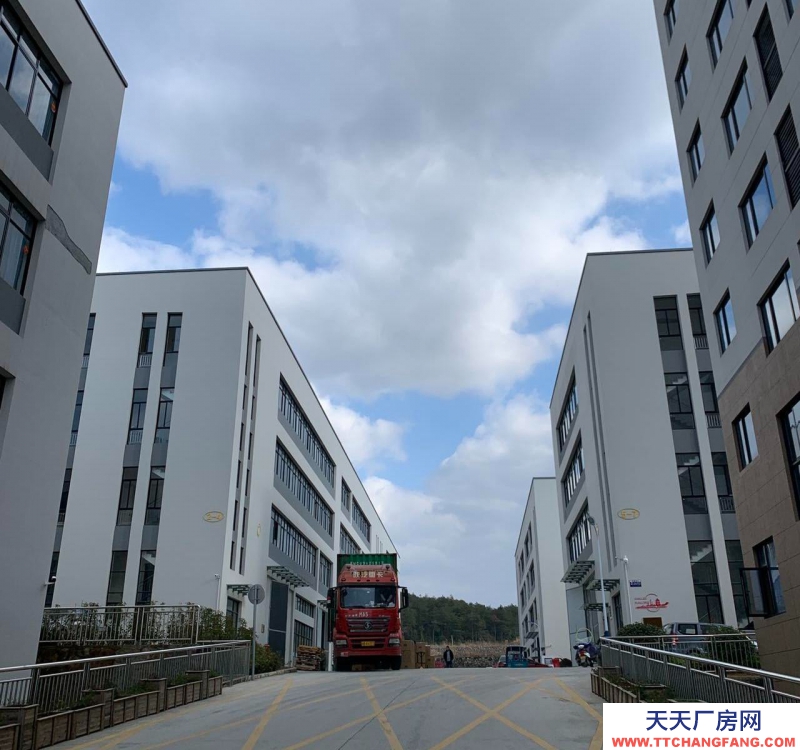 金华市磐安(出售) 标准厂房，独立产证，50年产权，可以定制。组装 包装 电子 贸易