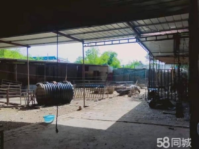 银川市兴庆机加工厂房 住宅加地加仓库加院子1400平米出手图1