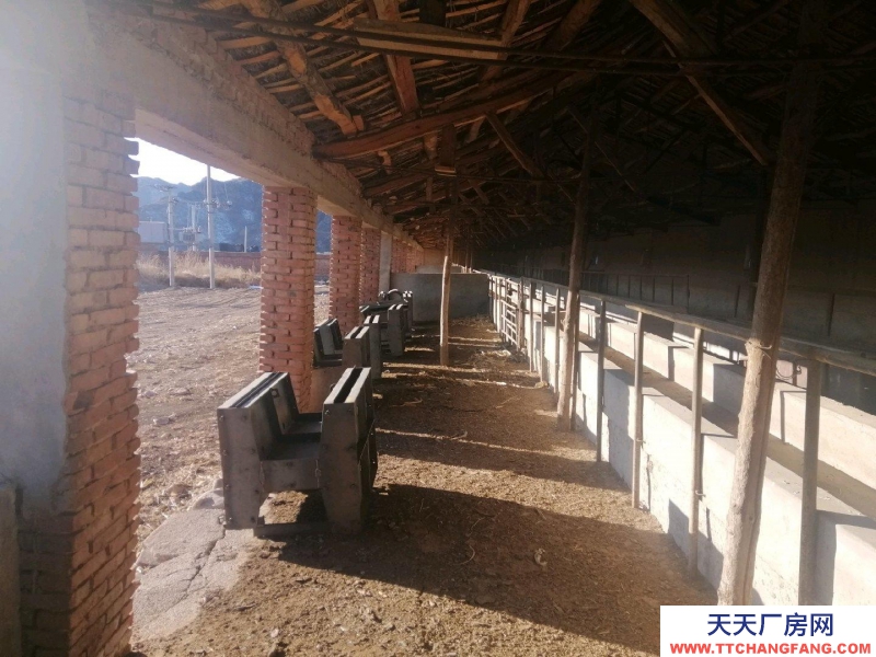 张家口 赤城(出租) 2022牛场出租，养殖厂