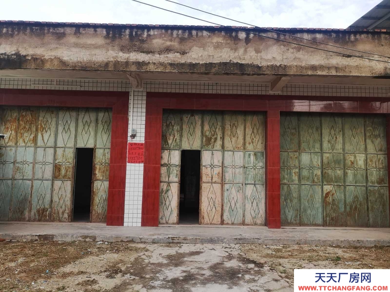 (出租) 河源源城城南高速榄坝村道旁300平方一层楼房可做仓库物流家住