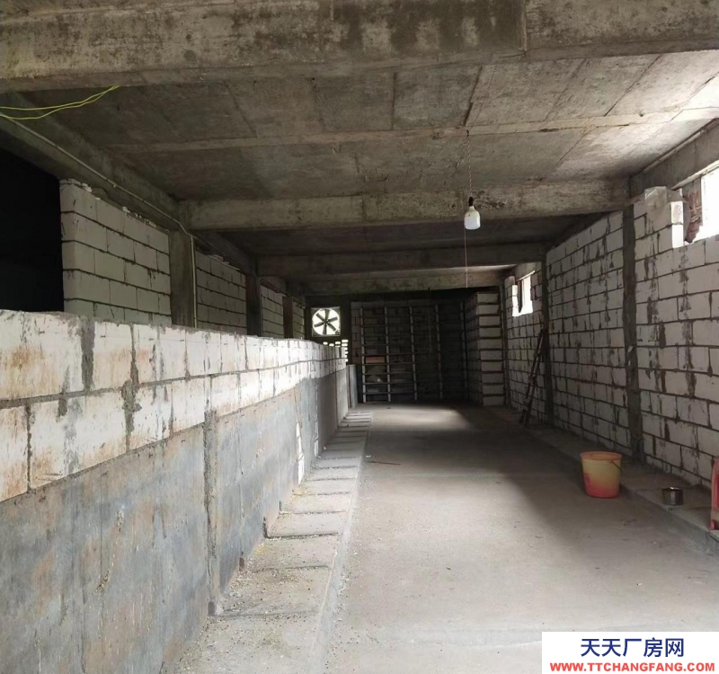 (出租) 河源源城仓库离村道300米，附三房一厅住房，可做加工厂，养殖场