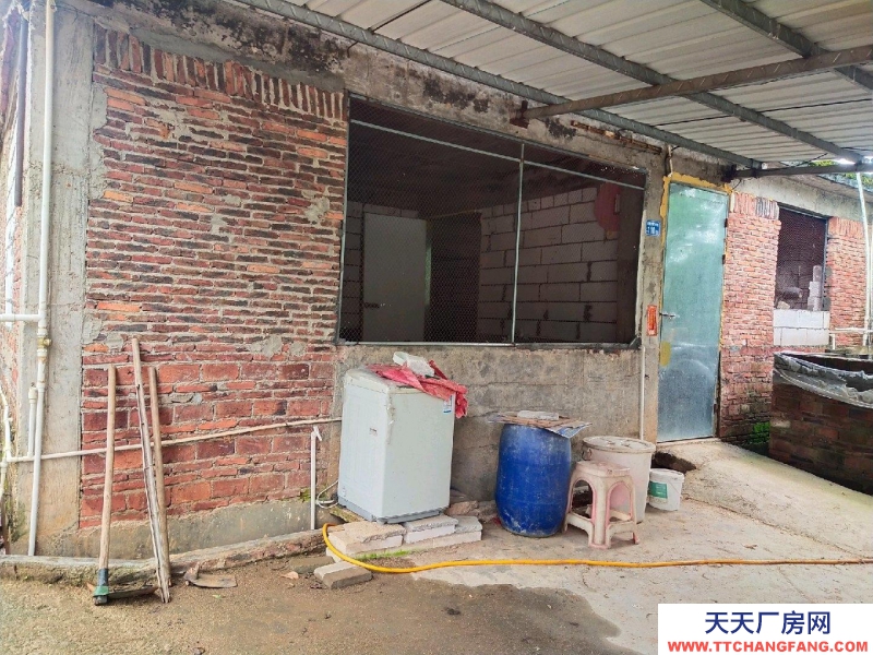 (出租) 河源源城仓库离村道300米，附三房一厅住房，可做加工厂，养殖场
