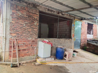 (出租) 河源源城仓库离村道300米，附三房一厅住房，可做加工厂，养殖场图2