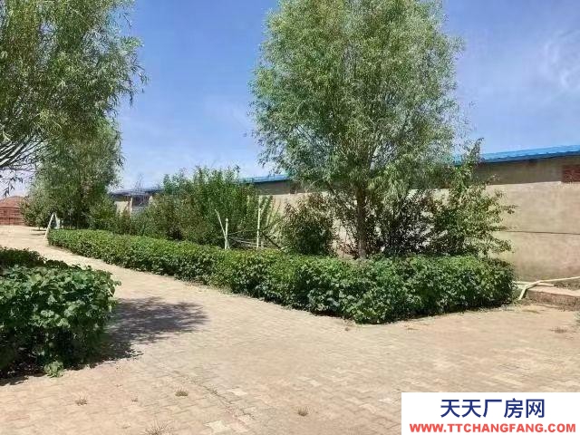 (出租) 包头魔芋厂小白河厂房大院出租出售风景秀丽环境优雅空气清新