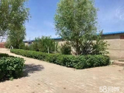(出租) 包头魔芋厂小白河厂房大院出租出售风景秀丽环境优雅空气清新图3