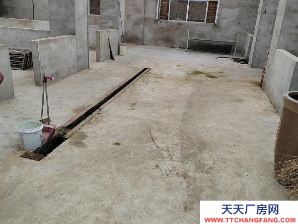 龙沙急急急急，低价出租，可当养殖和仓库，非诚勿扰