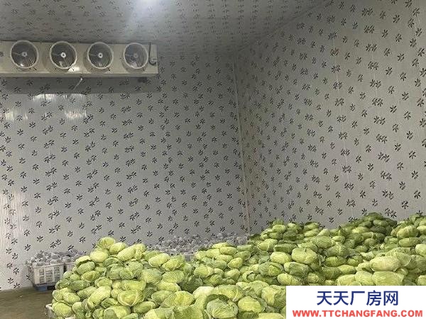 银川市西夏物资仓库 果蔬保鲜库出租（可售）