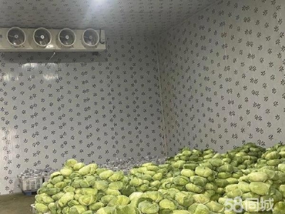银川市西夏物资仓库 果蔬保鲜库出租（可售）图3