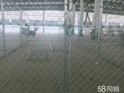 银川市西夏物资仓库  西夏区润恒城常温仓储，可做蔬菜配送，库房图2
